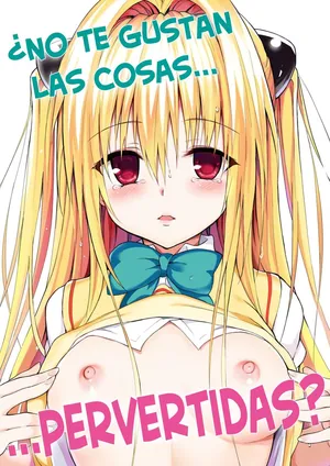 [Kyockchokyock (Kyockcho)] Ecchii no wa Kirai desu ka？- ¿No te Gustan las Cosas Pervertidas？(To LOVE-Ru Darkness) [Español] [Traducciones necesarias]